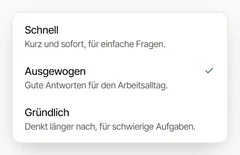Auswahl, wie gründlich geantwortet wird: Schnell, Ausgewogen (gewählt) und Gründlich, je mit einem Satz.