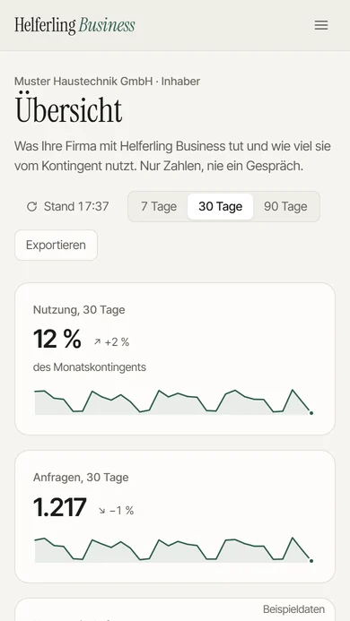 Die Übersicht der Verwaltung auf dem Telefon, mit Beispieldaten: Kopf mit Zeitraum und Stand, darunter die Anfragen der letzten 30 Tage mit Verlauf.